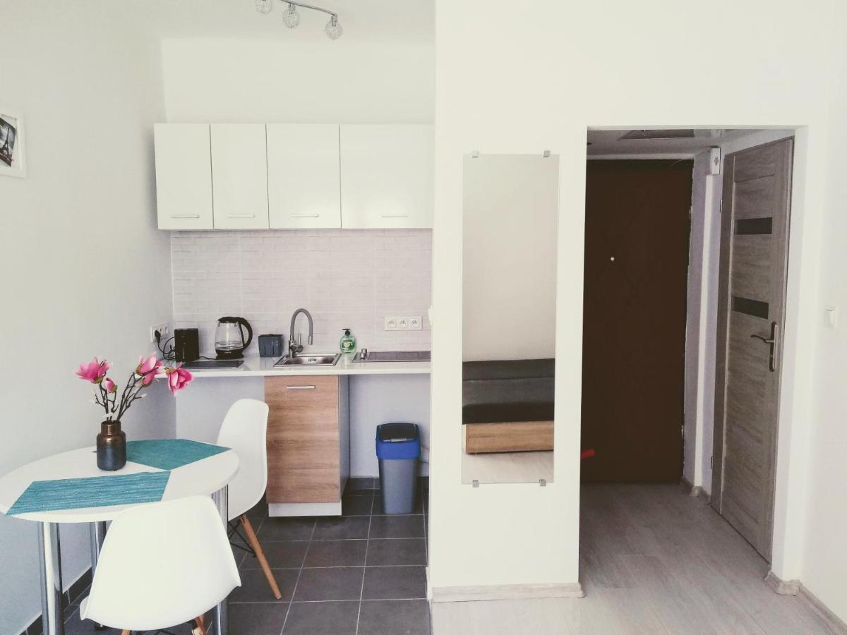 Studio Centrum - 1 Maja 16 Appartement Zabrze Buitenkant foto